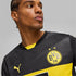 Borussia Dortmund 2024/25 Men's Away Replica Jersey