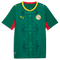 Senegal 26 Men's Away Jersey - Planète Foot