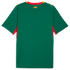 Senegal 26 Men's Away Jersey - Planète Foot