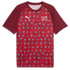 Switzerland 26 Men's Warmup Jersey - Planète Foot