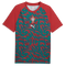 Portugal 26 Men's Warmup Jersey - Planète Foot