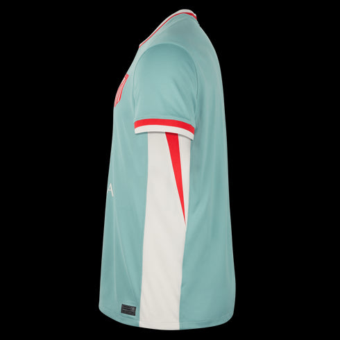 Atlético Madrid 2024/25 Men's Away Stadium Jersey