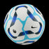 2024/25 Premier League Pitch Ball