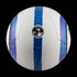 2024/25 Premier League Pitch Ball