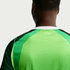 Nigeria 26 Men's Home Jersey - Planète Foot
