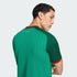Algeria 26 Men's Away Jersey - Planète Foot