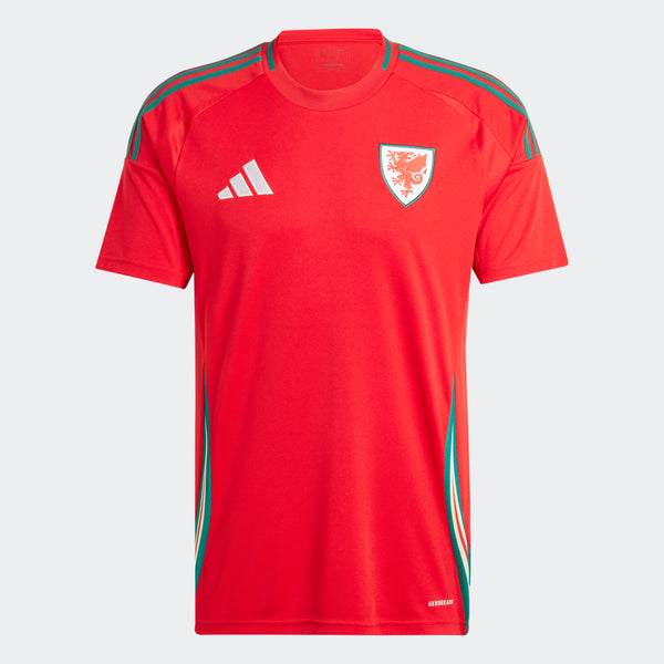 Pays de Galles Maillot Domicile 2024 pour Homme