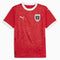 Autriche Maillot Domicile Replica 2024 pour Homme