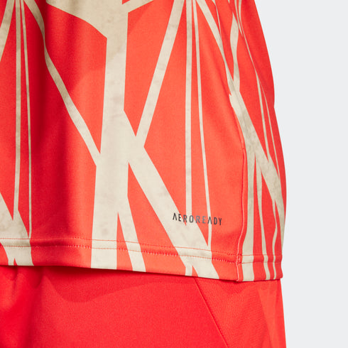 FC Bayern 2024/25 Men's Pre-Match Jersey