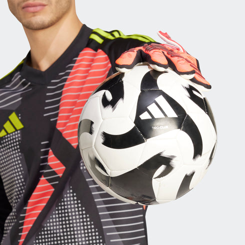 Predator Competition