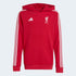 Liverpool FC Youth Hoodie
