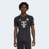 FC Bayern 2025/26 Men's Third Jersey
