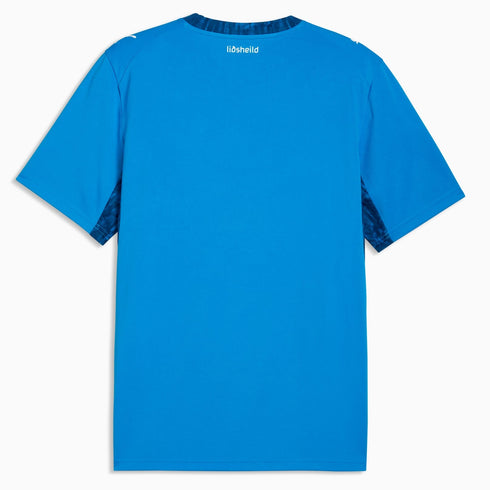 Iceland 26 Men's Home Jersey - Planète Foot