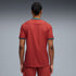 Portugal 26 Maillot Domicile Authentique pour Homme