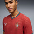 Portugal 26 Maillot Domicile Authentique pour Homme