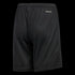 Parma 16 Men's Shorts