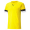 TeamRISE Men's Jersey