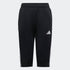 Tiro 23 League Youth 3/4 Pants