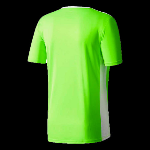 Entrada 18 Youth Jersey