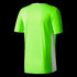 Entrada 18 Men's Jersey