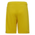 Tiro 23 Youth GK Short