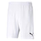 Men's TEAM RISE Shorts