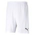 Men's TEAM RISE Shorts