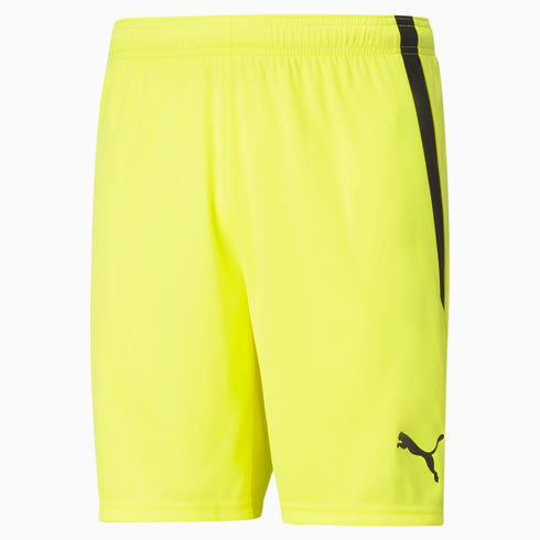 Shorts TEAM LIGA pour Homme