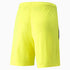 Shorts TEAM LIGA pour Homme