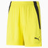 Youth TEAM LIGA Shorts