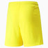 Youth TEAM LIGA Shorts