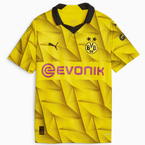 Borussia Dortmund 2023/24 Youth Third Replica Jersey