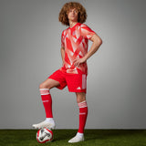 FC Bayern 2023/24 Men's Pre-Match Jersey