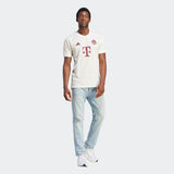 FC Bayern 2023/24 Men's Third Jersey