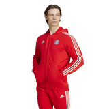 FC Bayern 2023/24 DNA Men's Full-Zip Hoodie