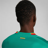 Senegal 2022/23 Men's Away Replica Jersey