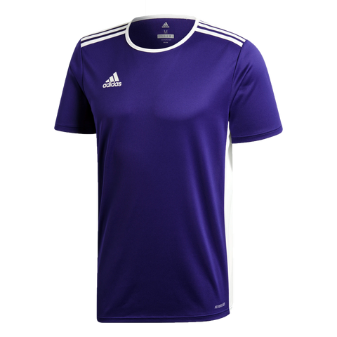Entrada 18 Men's Jersey