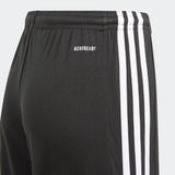 Youth Squadra 21 Shorts