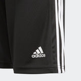 Youth Squadra 21 Shorts