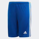 Youth Squadra 21 Shorts