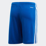Youth Squadra 21 Shorts