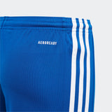 Youth Squadra 21 Shorts