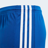 Youth Squadra 21 Shorts