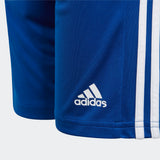 Youth Squadra 21 Shorts