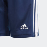 Youth Squadra 21 Shorts