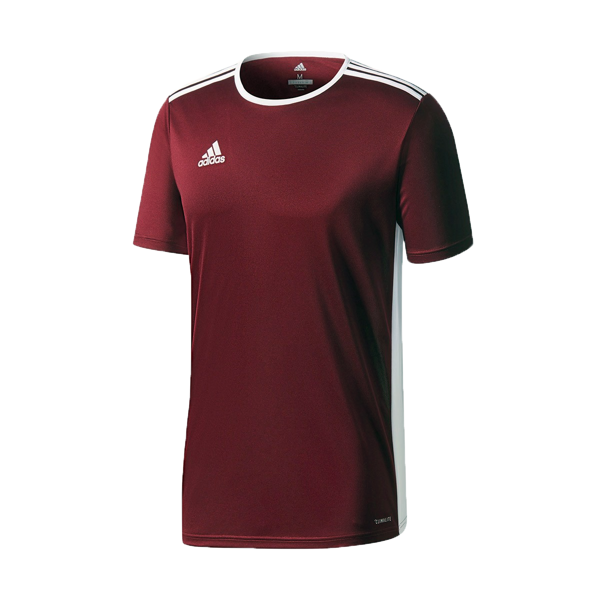 Adidas entrada 18 jersey youth deals