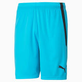 Men's TEAM LIGA Shorts