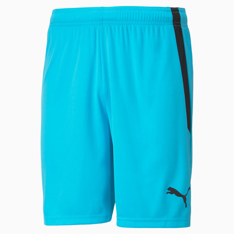 Men's TEAM LIGA Shorts