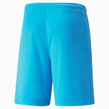 Men's TEAM LIGA Shorts